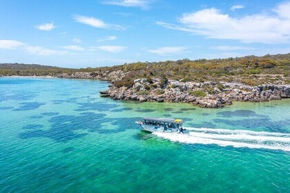 Experience Coffin Bay Short and Sweet Oyster Farm Tour