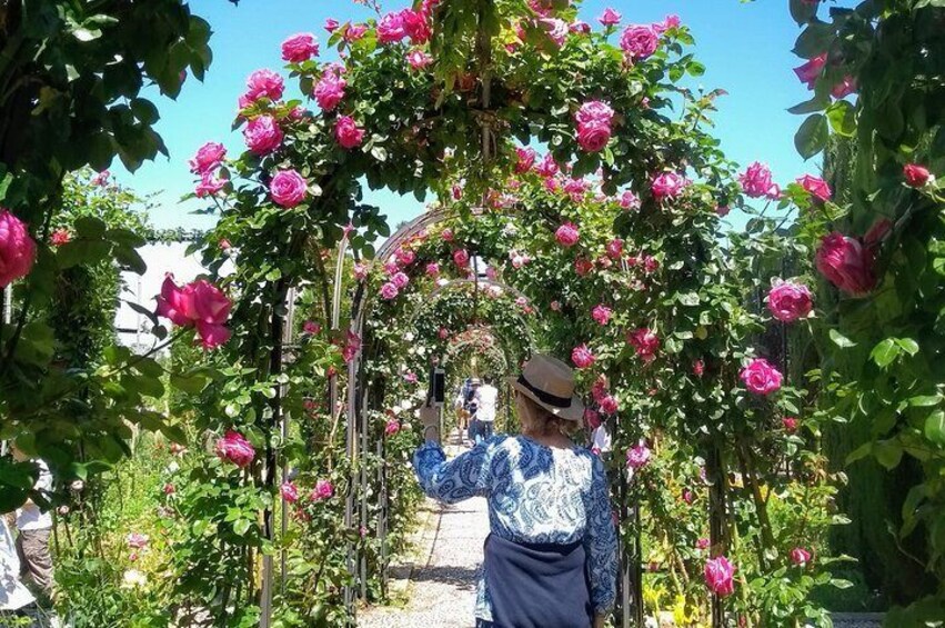 Visit the Alhambra and the Generalife. Private tour