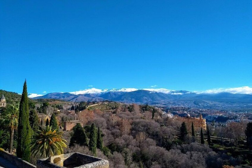 Visit the Alhambra and the Generalife. Private tour