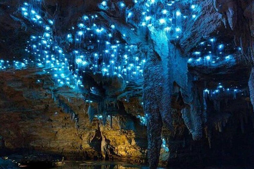 Glow worms at Footwhistle cave