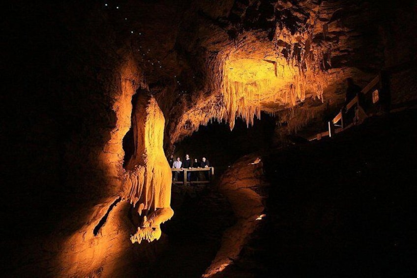 Footwhistle guided Tour, Waitomo