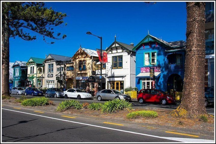 Small Group 2.5-Hour Napier History and Art Deco Tour 