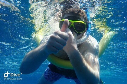 Snorkeling at Catalina Islands