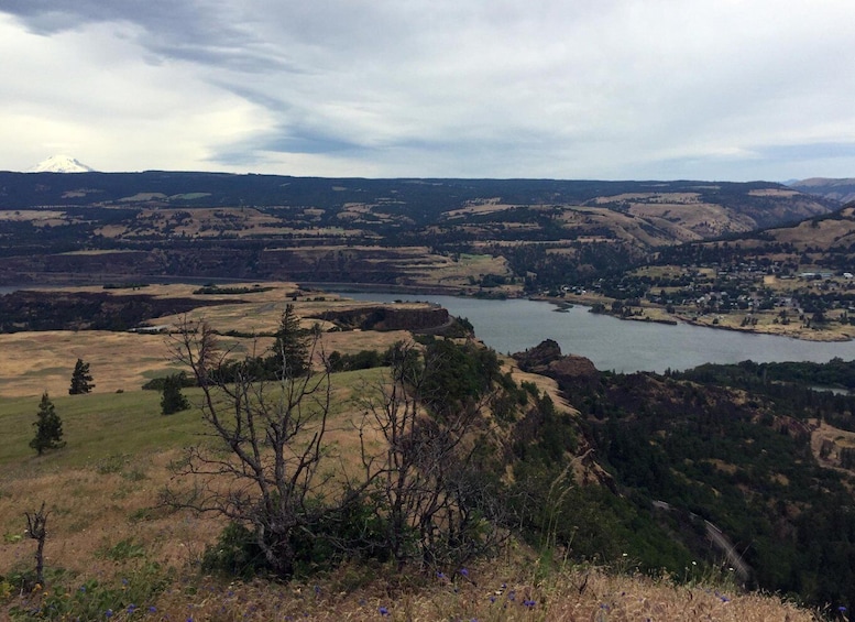 Picture 6 for Activity From Portland: Columbia Gorge Hike and Winery Lunch