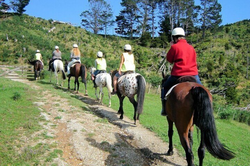 Private Tour - Horse Riding, Wine Tasting and Art Trail 