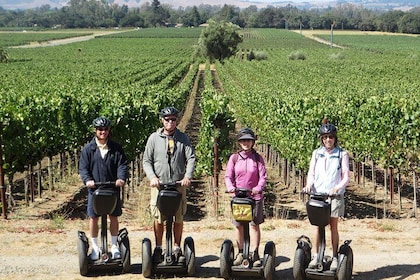 Sonoma County Wein Segway Tour