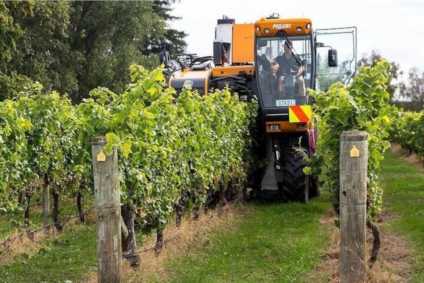 A chance to see harvesters at work on the day (in season).