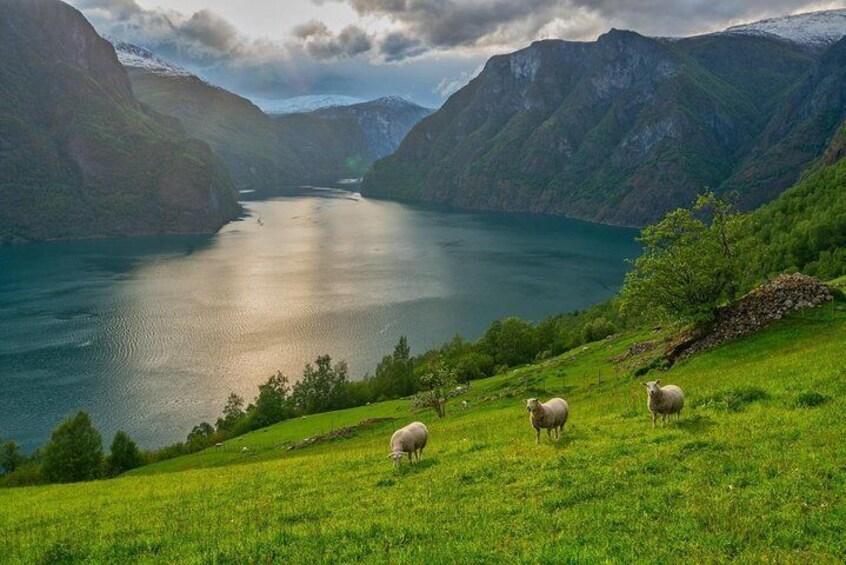 PRIVATE GUIDED TOUR: World Heritage Fjord Landscape tour from Flam, 4 hours