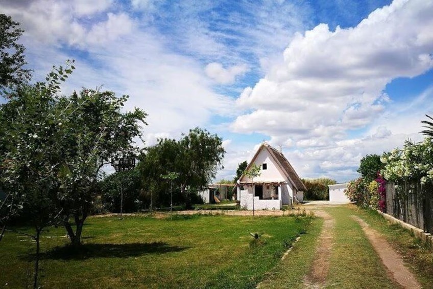 The Albufera Natural Park Private Tour from Valencia with transport