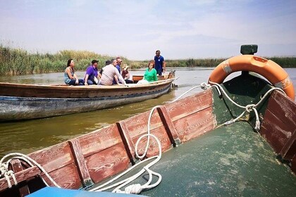 The Albufera Natural Park Private Tour from Valencia with transport