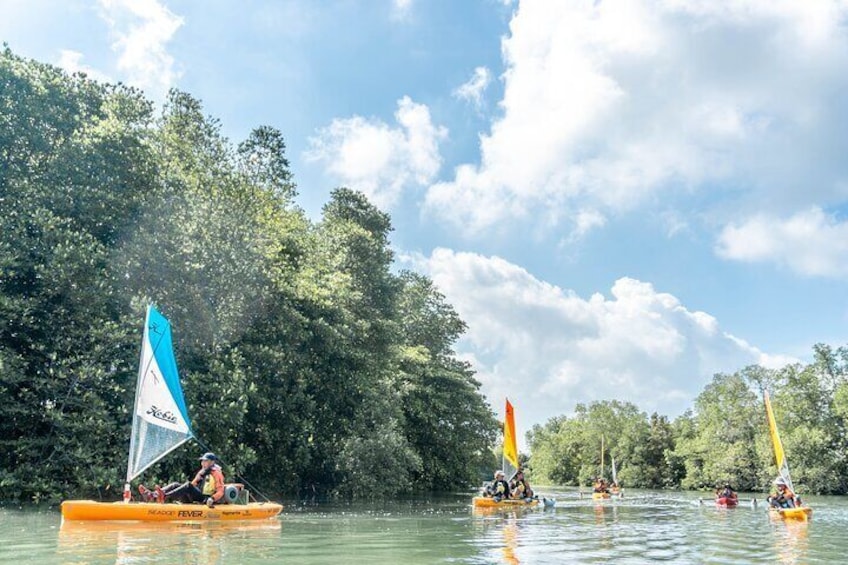 Kayak Sailing in Singapore, Mangrove, Kelong & Pulau Ubin, Seafood Meal Included