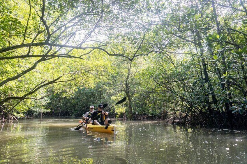 Kayak Sailing in Singapore, Mangrove, Kelong & Pulau Ubin, Seafood Meal Included