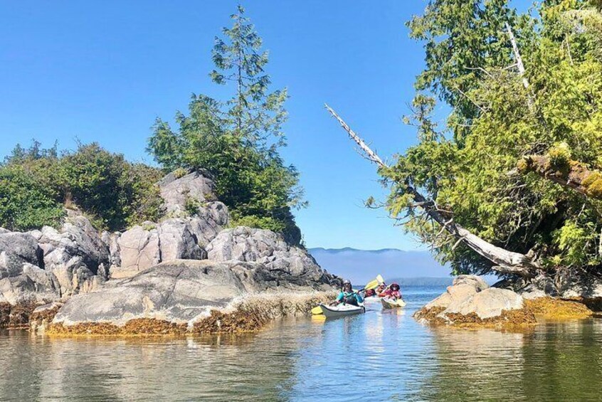 Paddle through turquoise waters hosting an amazing diversity of marine life.