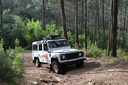 Half-day Sintra Jeep Safari