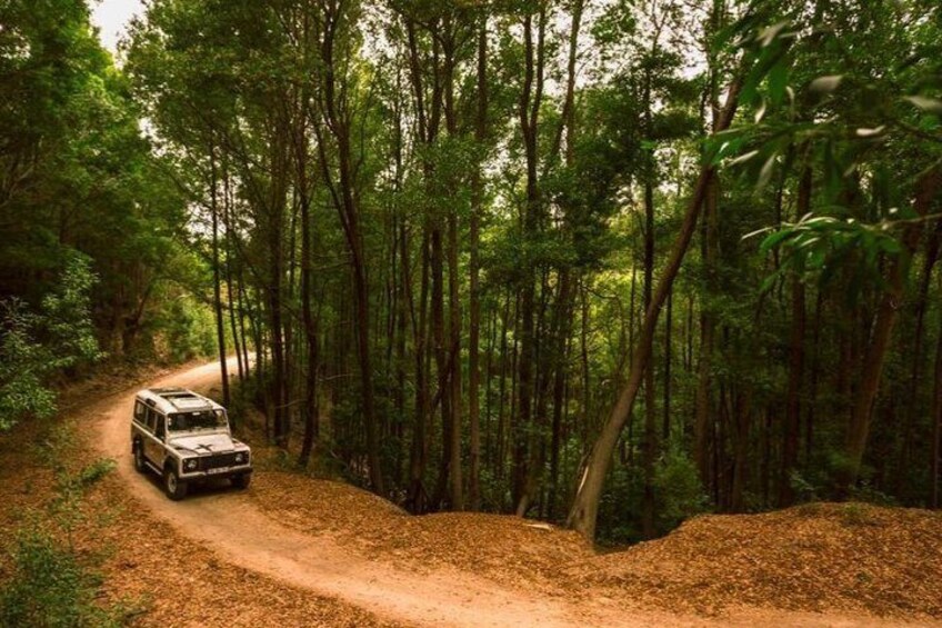 Half-day Sintra Jeep Safari