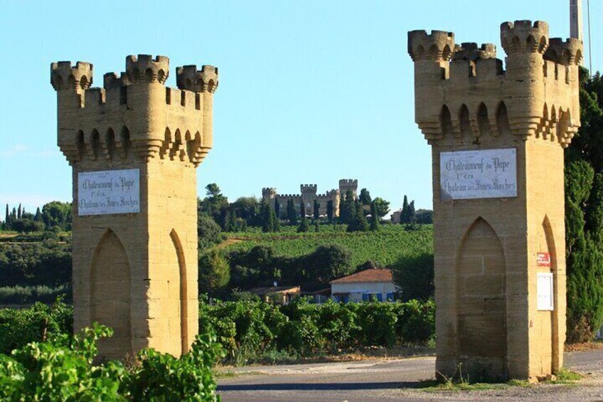 Roman heritages and Chateauneuf du Pape Wine Tour from Avignon