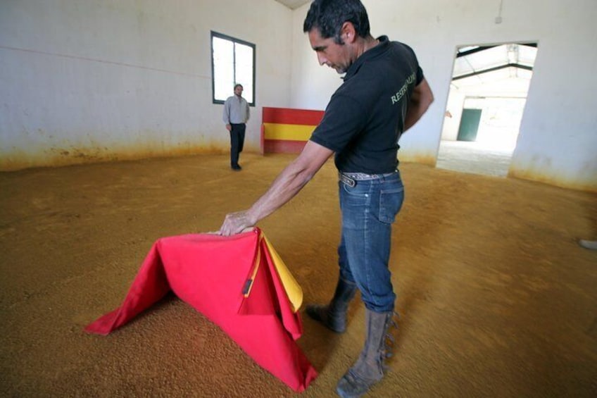 Andalucia Bull and Horse Farm and Ronda Private Tour from Malaga