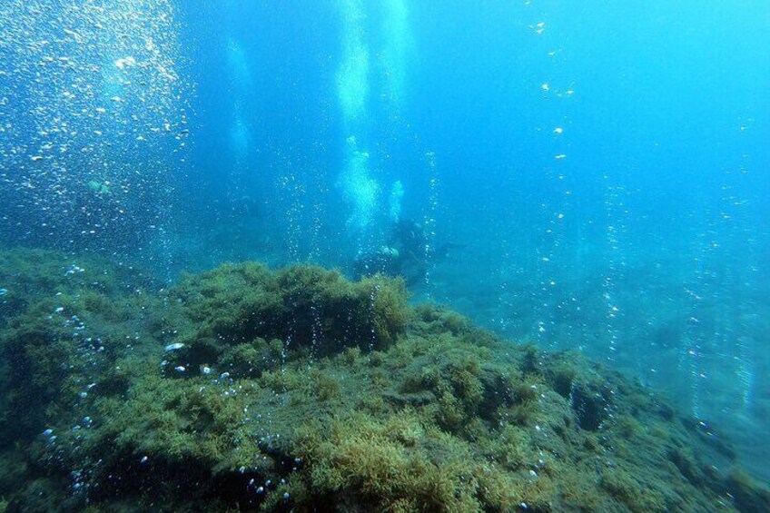 Double Scuba Diving