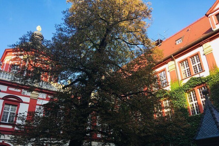 Highlights of Wroclaw Private Tour with one Entrance