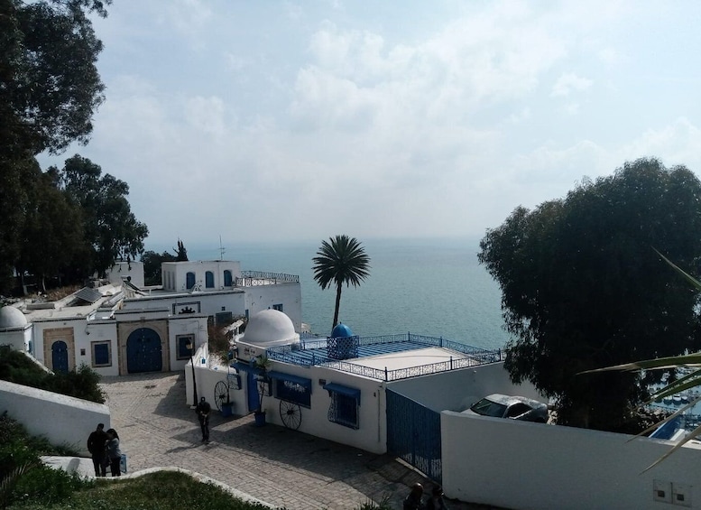 Picture 8 for Activity From Tunis: Half-Day Tour to Carthage and Sidi Bou Said