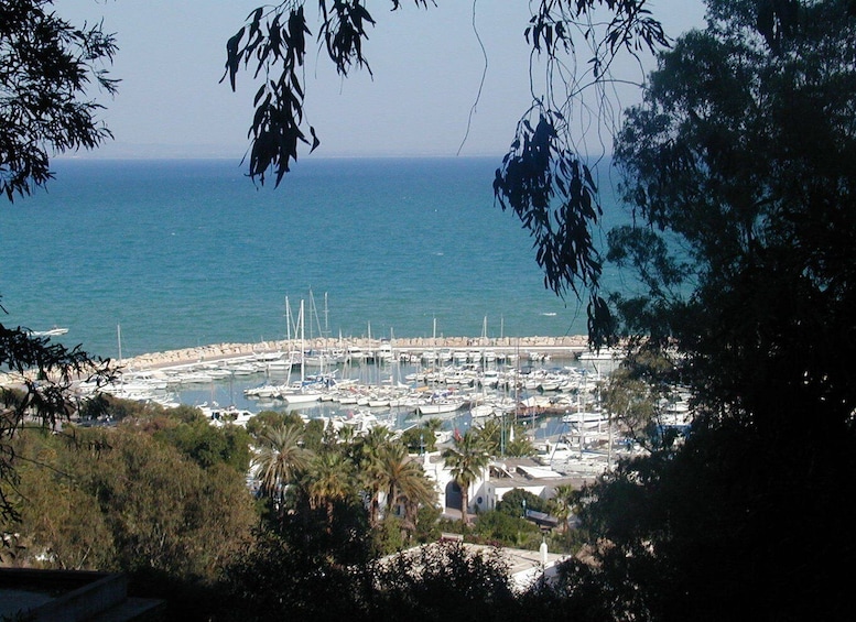 From Tunis: Half-Day Tour to Carthage and Sidi Bou Said