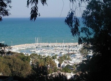 From Tunis: Half-Day Tour to Carthage and Sidi Bou Said