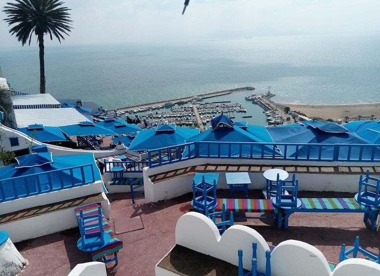 Picture 10 for Activity From Tunis: Half-Day Tour to Carthage and Sidi Bou Said