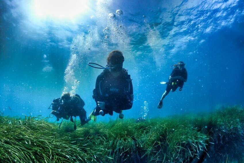 First Dive 60 Minutes In The Est rel first-dive-60-minutes-in-the-est-rel