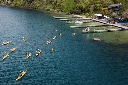 Scenic Lake Rotoiti Kayak Tour
