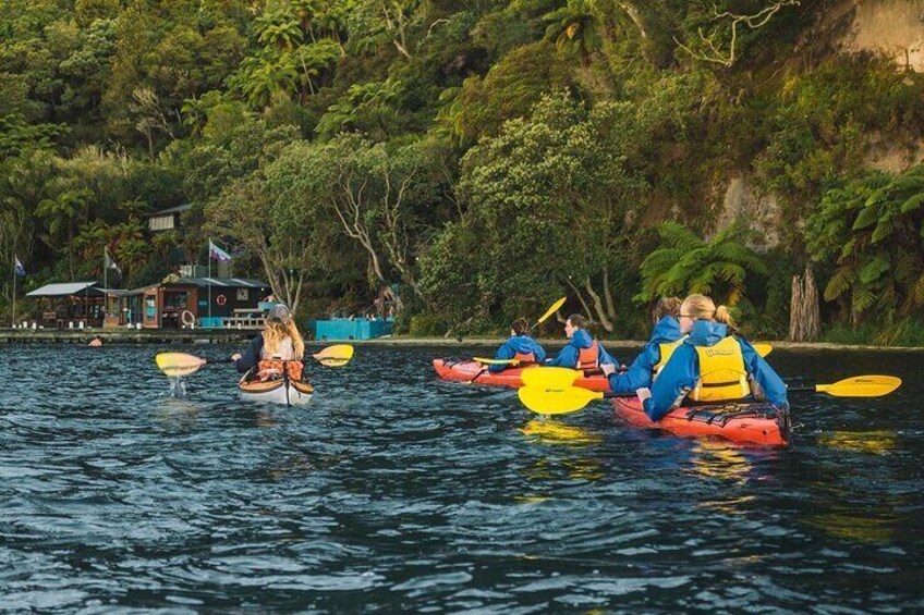 Scenic Lake Rotoiti Kayak Tour