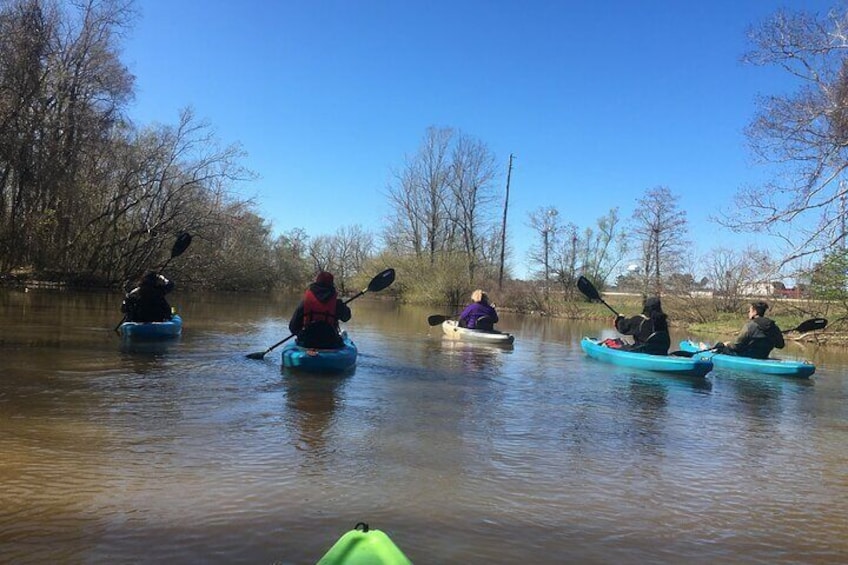 Kayak Tour Of The Honey Island Swamp and Backwaters