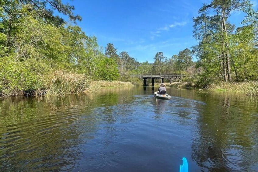 Kayak Tour Of The Honey Island Swamp and Backwaters