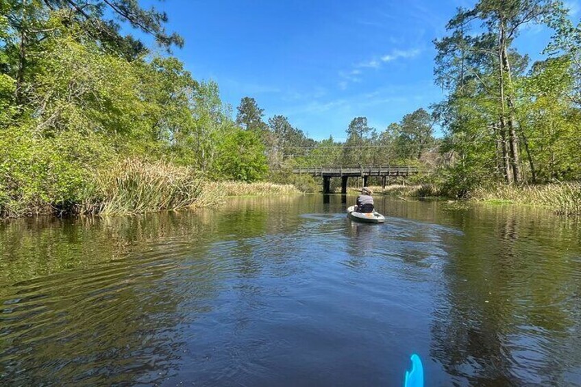 Kayak Tour Of The Honey Island Swamp and Backwaters