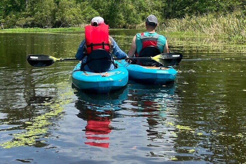 Kayak Tour Of The Honey Island Swamp and Backwaters