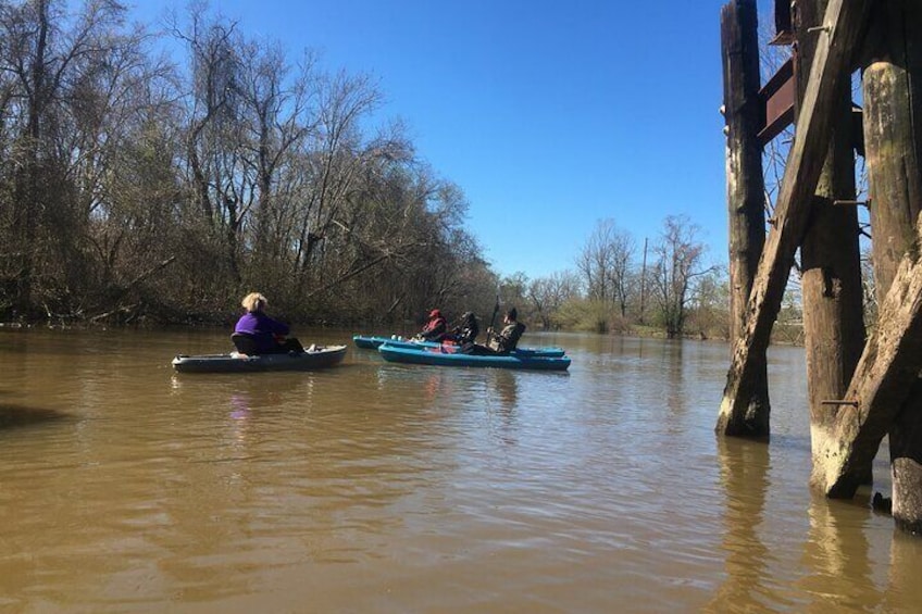 Kayak Tour Of The Honey Island Swamp and Backwaters