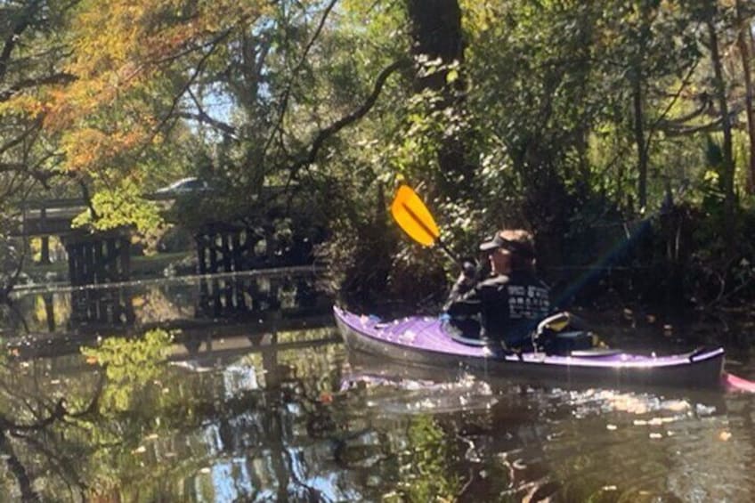 Kayak Tour Of The Honey Island Swamp and Backwaters