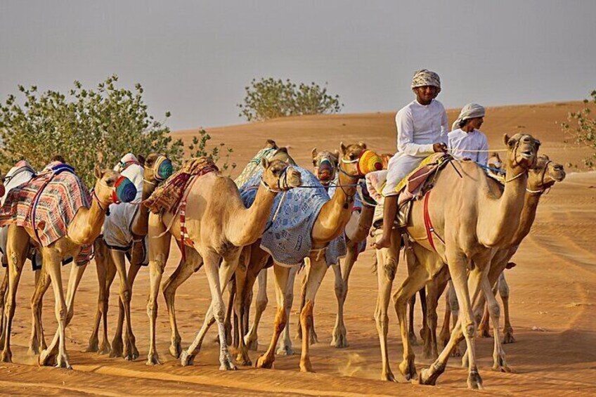 Bediyah: Camel Safari through the Wahiba Sands Desert