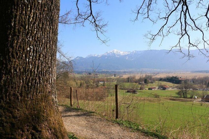 Dragon Slayer Way Beer Hike Food Experience Private Tour (departs Munich)