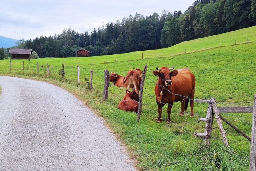 Dragon Slayer Way Beer Hike Food Experience Private Tour (departs Munich)