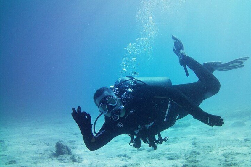 Double Shore Dive (certified divers)