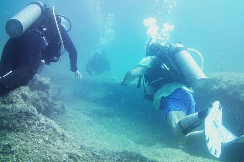 Double Shore Dive (certified divers)