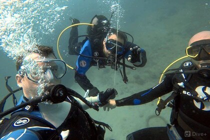 Double Shore Dive (certified divers)