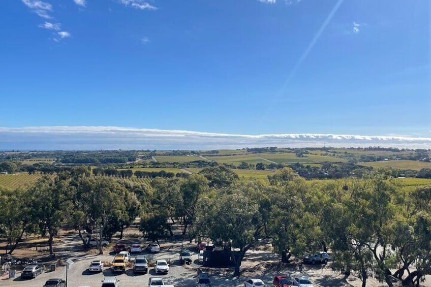 McLaren Vale Wine Region via Hahndorf Full-Day Tour from Adelaide