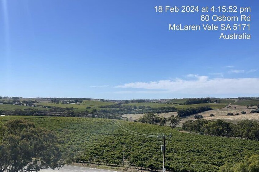 McLaren Vale Wine Region via Hahndorf Full-Day Tour from Adelaide