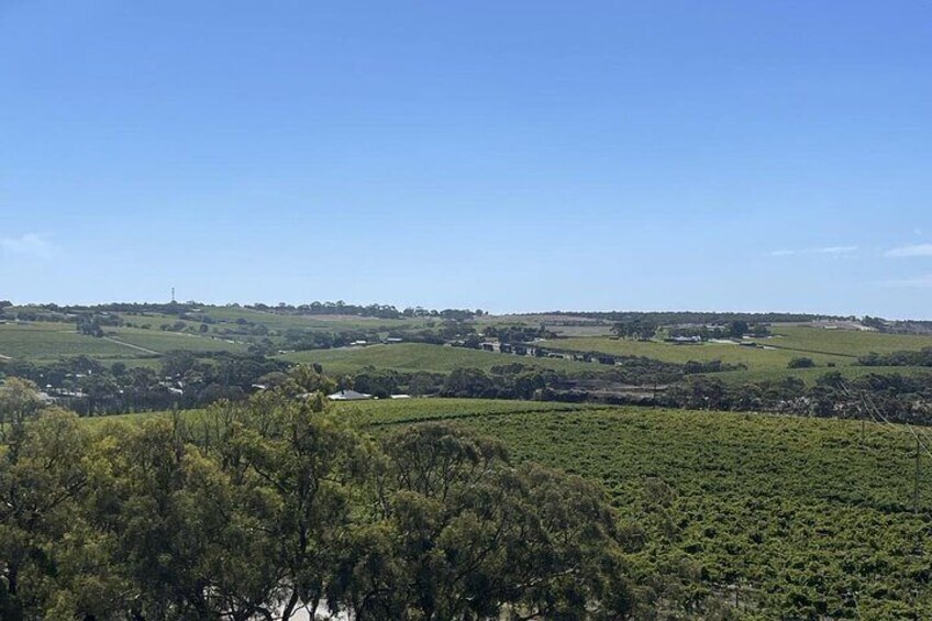 McLaren Vale Wine Region via Hahndorf Full-Day Tour from Adelaide