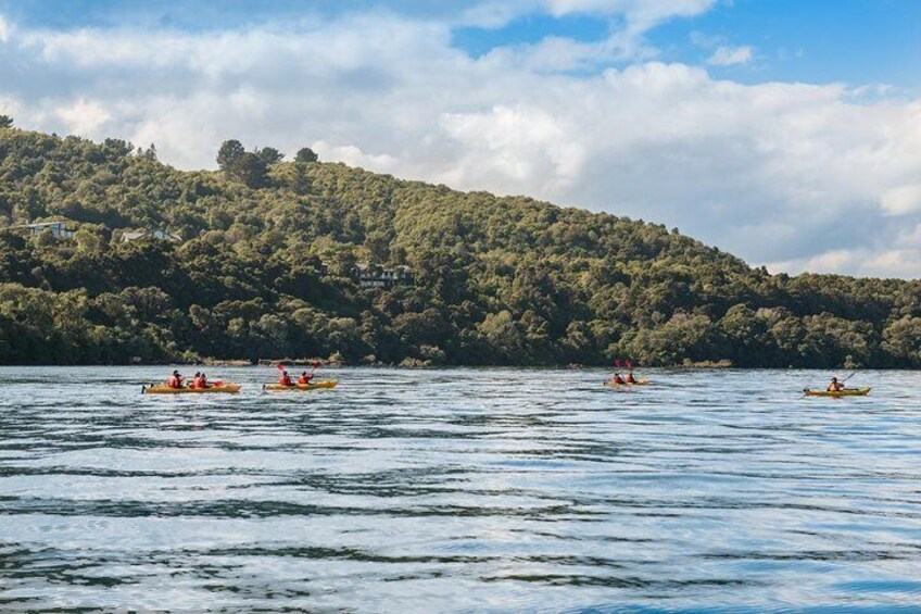 The Maori Carvings Half Day Kayak