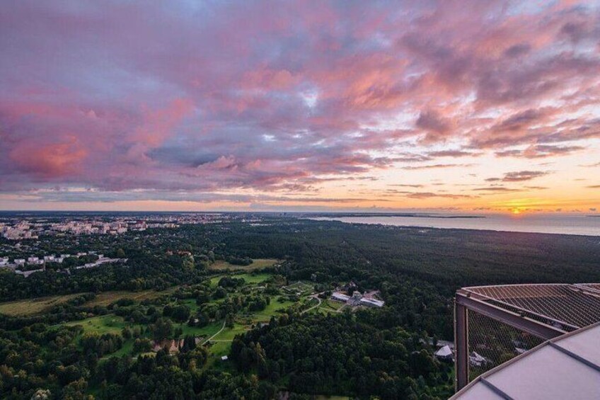 The view