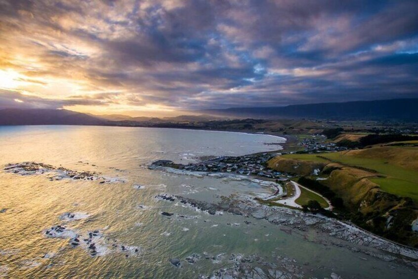 Kaikoura Whale Watching - Small Group Tour