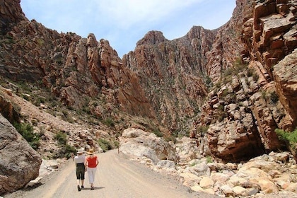 Full-Day Swartberg Mountain PRIVATE Tour (including lunch and transfers)