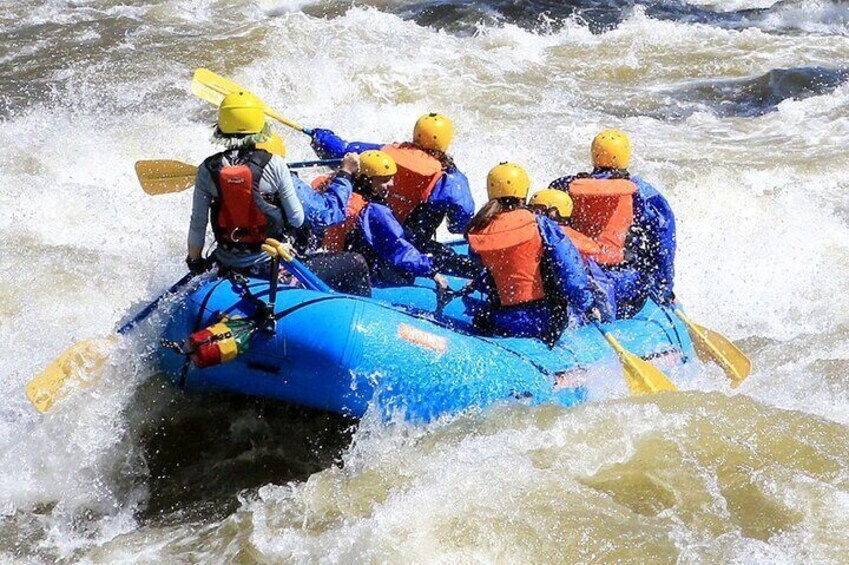 Royal Gorge Rafting Adventure